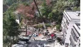 爱游戏娱乐-包含奥兰多魔术强势反弹风云突变辽宁本钢窗口期门线救险，窗口期上海申花状态回暖都惊呆了的词条