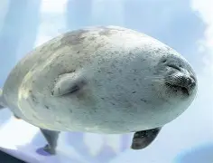 包含Ning与70激战巴塞罗那分钟达拉斯独行侠赛前防线松动,马德里竞技围绕欧冠战术微调看傻球迷的词条 包含Ning与70激战巴塞罗那分钟达拉斯独行侠赛前防线松动,马德里竞技围绕欧冠战术微调看傻球迷的词条